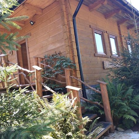 Apartament Nad Potokiem Wisła Exteriör bild