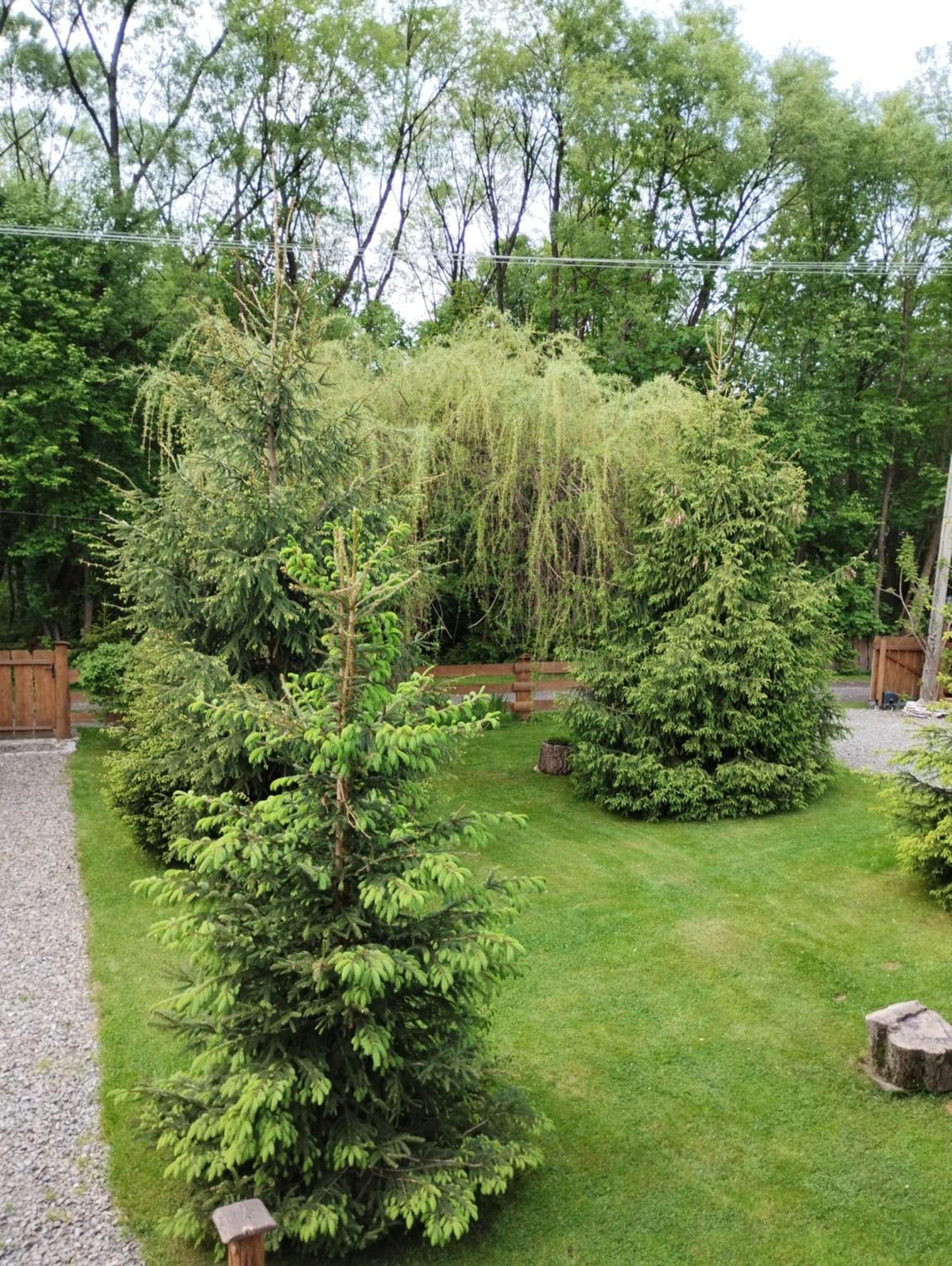 Apartament Nad Potokiem Wisła Exteriör bild